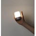 Портативная лампа фонарь Nextool Multifunctional Light Outdoor Camp (ZBY20001)