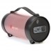 Портативная колонка Cigii Beecaro RX22E LED