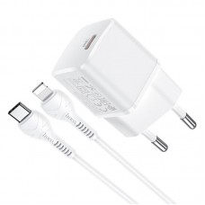 Адаптер сетевой HOCO Type-C to Lightning Cable Starter N10 набор с кабелем белый