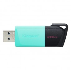 Флеш накопитель USB 3.2 Kingston DT Exodia M 256GB (DTXM/256GB)