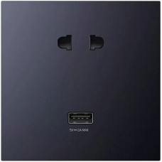 Хаб - розетка умная Xiaomi Aqara H1 Smart Hub Socket USB (QBCZWG11LM) серая