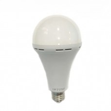 LED лампа с аккумулятором RA-800MA-12W-1