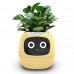 Интерактивный умный горшок для растений Ivy Smart Planter Tuya AI желтый