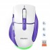 Мышь MEETION 2.4G+Bluetooth wireless gaming mouse BTM001 |800-1200-1600-2400dpi, 7keys, 35/140h, Type-C Charging, RGB|