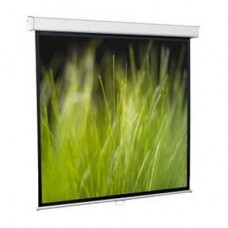 Экран настенный Walfix TLS-4, диагональ: 120', габариты: 240х180, соотношение сторон:4:3, беспроводной пульт ДУ, провод питания с