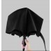 Зонт Xiaomi Pinlo Automatic черный (PLZDS04XM)