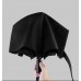 Зонт Xiaomi Pinlo Automatic Black (PLZDS04XM)