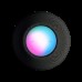 Умная колонка Apple HomePod mini Space Gray (MY5G2)