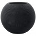 Умная колонка Apple HomePod mini Space Gray (MY5G2)