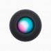 Умная колонка Apple HomePod mini Space Gray (MY5G2)
