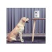 Кормушка для домашних животных Xiaomi Pawbby с камерой