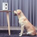 Кормушка для животных Xiaomi Pawbby Animal Feeding Machine MG-PSM001