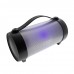 Портативная колонка Cigii Beecaro RX22E LED