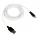 Силиконовый кабель Hoco Usb Type-C 2 метра белый 6931474713889