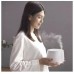 Увлажнитель аромадиффузор Xiaomi HL Aroma Diffuser Basic (HLEOD02)