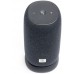 Беспроводная акустика JBL LINK POR (JBLLINKPORGRY) портативная система