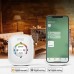 Умная розетка Gosund Smart Plug SP1-C