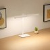 Настольная лампа Xiaomi LED Desk Lamp 2 BHR9186GL