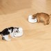 Смарт кормушка для животных CATLINK RFID pet feeder - Standard