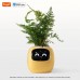 Интерактивный умный горшок для растений Ivy Smart Planter Tuya AI желтый