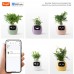 Интерактивный умный горшок для растений Ivy Smart Planter Tuya AI желтый