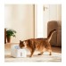 Умная поилка для животных Xiaomi Smart Pet Fountain 2 3L BHR9486EU