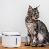 Автоматическая поилка Petoneer Fresco Mini Plus Fountain Wi-Fi (WF004)