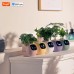 Інтерактивний розумний горщик для рослин Ivy Smart Planter Tuya AI, жовтий