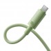 Кабель Baseus Habitat Series Fast Charging Cable Type-C to Type-C 100W 1m зелений