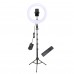 Держатель с кольцевым освещением Bluetooth 12" YQ-320A light set (Kit2)  |170cm Stand, Plug Powered, 3000-6500K|