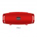 Акустика BOROFONE Rich sound sports wireless speaker IPX5 BR3 |TWS, BT5.0, AUX, FM, TF, USB|