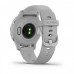 Смарт-Часы Garmin Venu 2S Silver Stainless Steel Bezel with Mist Gray Case and Silicone Band (010-02429-12)