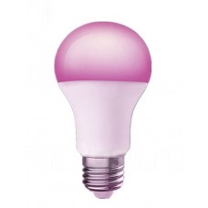 Mijia Philips Colorful Light Bulb