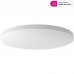 Светильник потолочный Xiaomi Mi LED Ceiling Lamp 450mm White Global (MJXDD01SYL) (BHR4118GL)