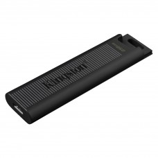Флешка Type-C Kingston USB 3.2 DT Max 256GB черная